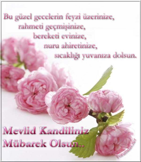 mevlitkandili (3)-1a7.jpg